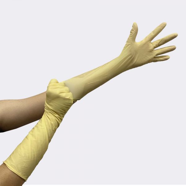 First Guard Latex Examination Glove
